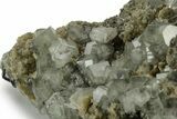 Fluorapatite and Siderite Crystals on Arsenopyrite - Portugal #239760-2